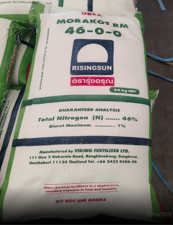 46-0-0 ใสรุ่งอรุณ