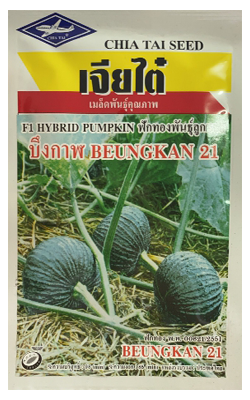 บึงกาฬ21ฟักทองเครื่องบิน20G