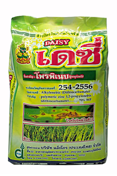 เดซี่ ยักษ์ใหญ่1KG*15