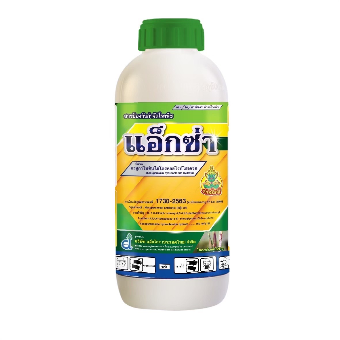 แอ็กซ่ายักษ์ใหญ่250CC*24