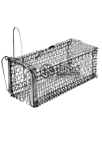 กรงดักหนูใหญ่