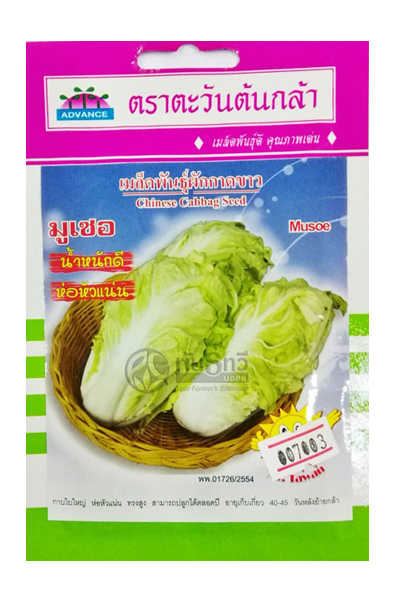 ขาวปลีมูเซอAV(V25)