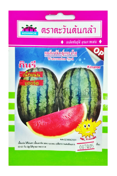 แตงโมกินรีAV(V1)