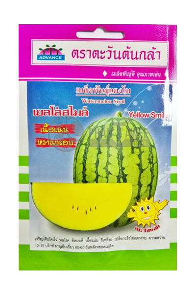 แตงโมเยลโล่สไมล์AV(V4)