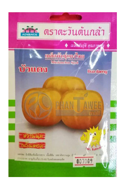 แตงไทยบัวแดงAV(V61)