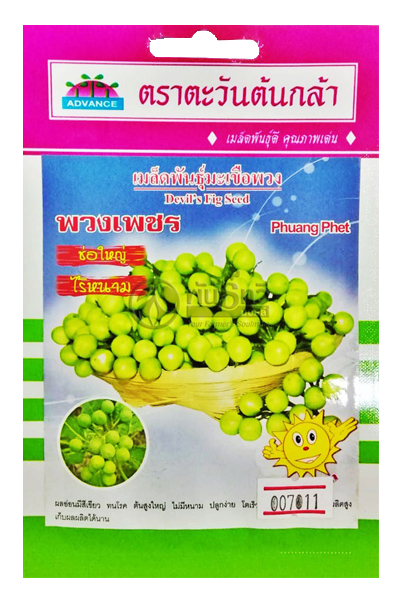 มะเขือพวงพวงเพชรAV