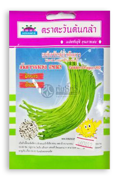 ถั่วฝักยาวมังกรทอง202AV