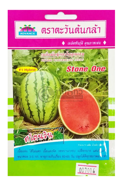 แตงโมสโตนวันF1AV(H3)