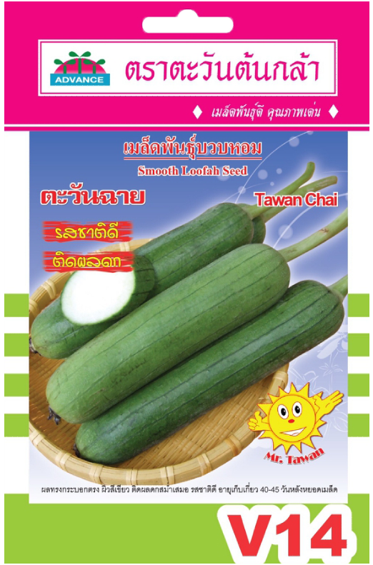 บวบหอมตะวันฉายAV(V14)