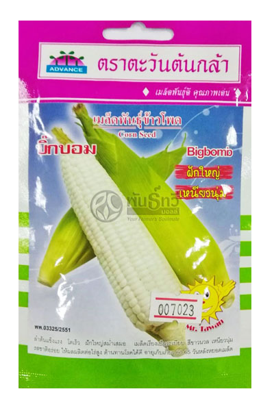 ขพขน.บิ๊กบอมAV(V60)