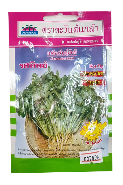 ผักชีรสทิพย์AV(V44)