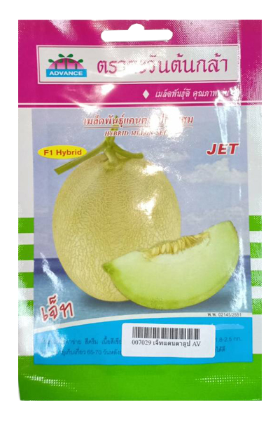 แคนตาลูปเจ็ทAV