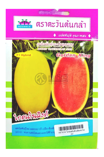 แตงโมโกลเด้นคิงส์AV(H34)