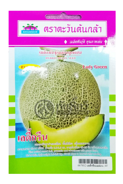 เมล่อนเลดี้กรีนAV