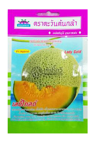 เมล่อนเลดี้โกลด์F1AV(H41)