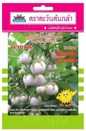 มะเขือตอแหลนาธานAV(V53)