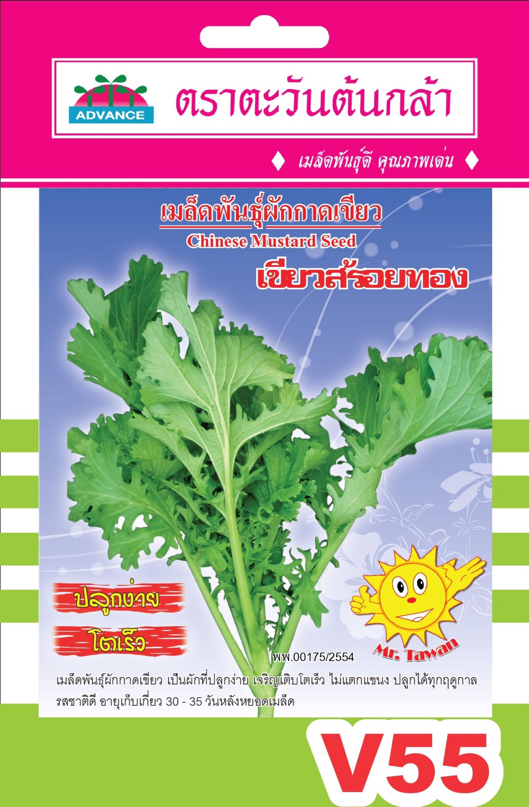 เขียวน้อยเขียวสร้อยทองAV(V55)