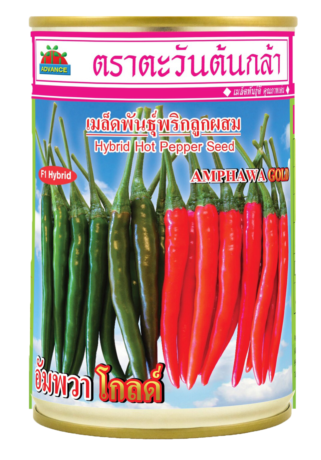 อัมพวาโกลด์พริกAV20G*100