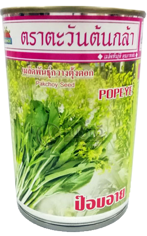 ป๊อบอายกวางตุ้งดอกAV500G*24