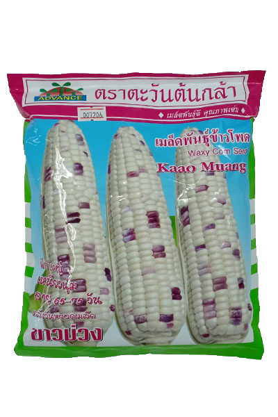 ขพขน.ขาวม่วงAV500G*50