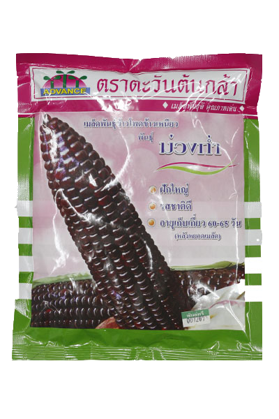 ขพขน.ม่วงก่ำAV500G*50