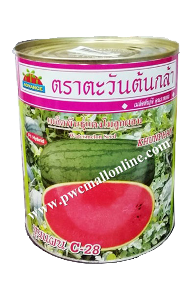 ขุนแผนC-28แตงโมAV250G*24