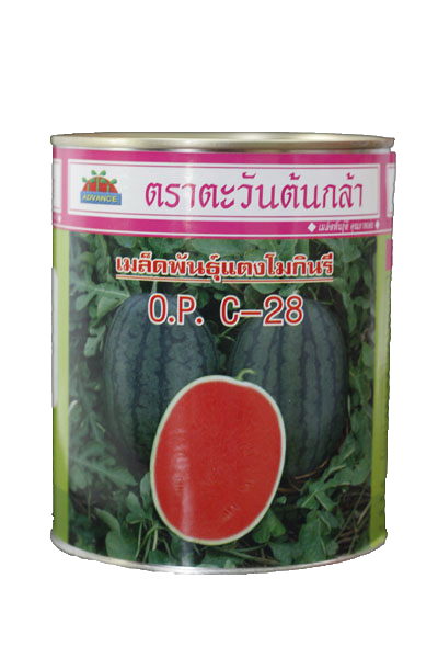 กินรีC-28แตงโมOP AV250G*24