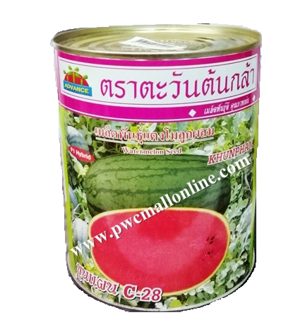 ขุนแผนC-28แตงโมAV40G*100