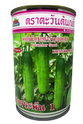 คงกระพัน1แตงร้านAV100G*60