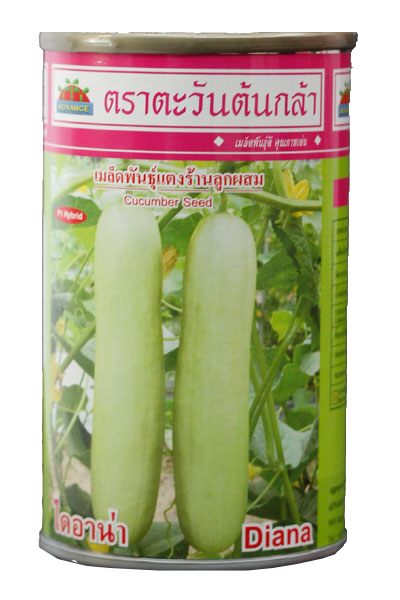 ไดอาน่าแตงร้านAV20G*75