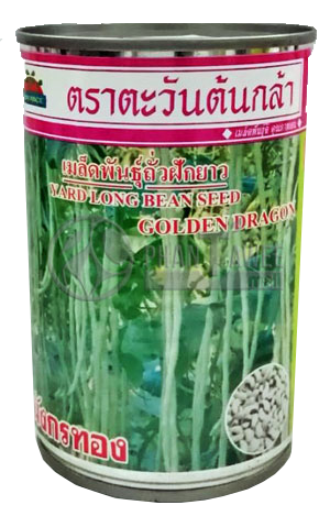 มังกรทองถั่วฝักยาวAV100G*60