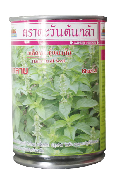 แคลายแมงลักAV30G*60