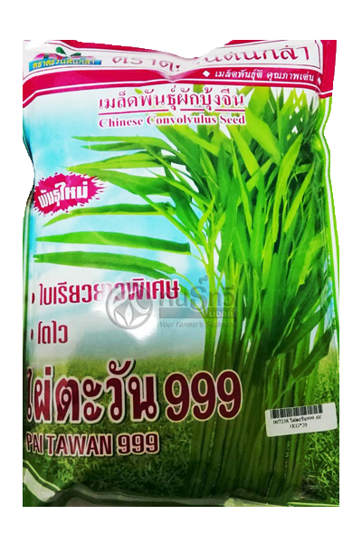 ไผ่ตะวัน999ผักบุ้งAV1KG*20