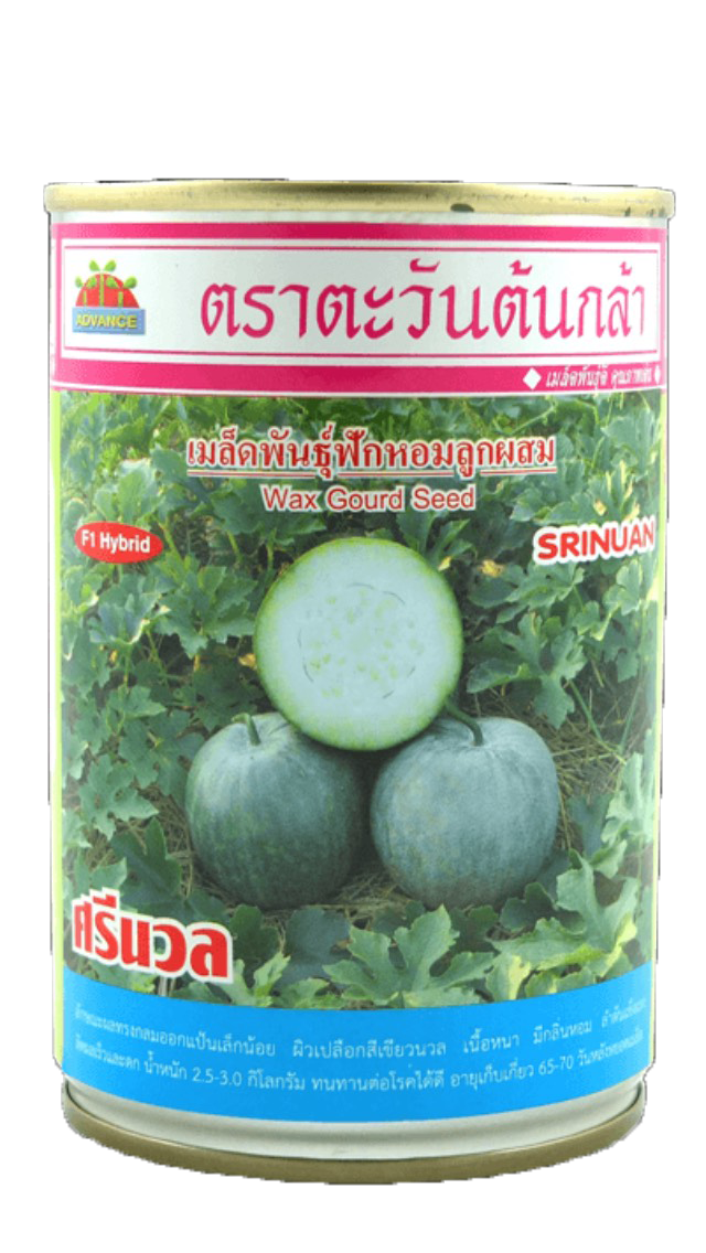 ศรีนวลฟักหอมAV50G*60