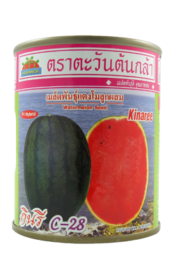 กินรีC-28แตงโมF1 AV40G (ซอง/กป.)*100