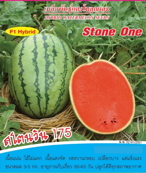 สโตนวันเอ175แตงโมAV40G *100