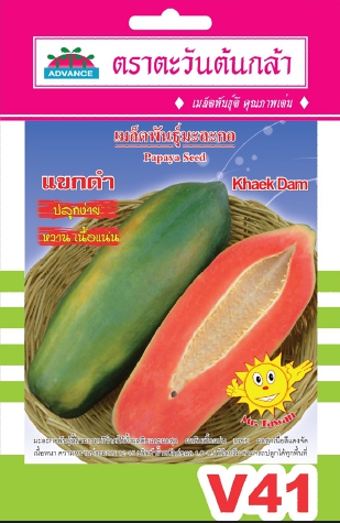 มะละกอแขกดำAV