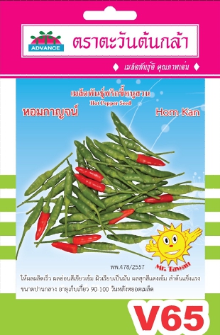 พริกขี้หนูหอมกาญจน์AV(V65)*10