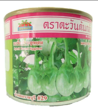น้ำหยดราชบุรี29มะเขือเปราะAV20G*300