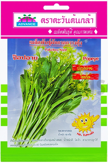 กวางตุ้งดอกป๊อปอายAV*10