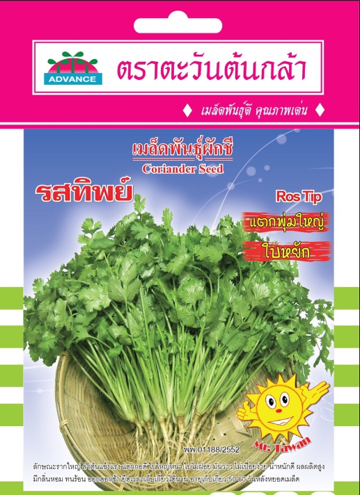 รสทิพย์ผักชีAV300G*70