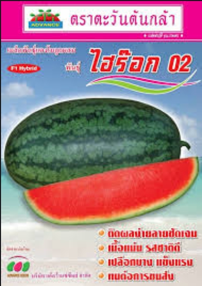 แตงโมไฮร๊อก02AV