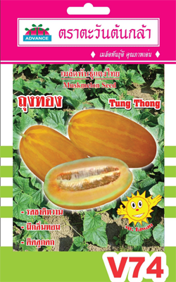 แตงไทยถุงทองAV(V74)