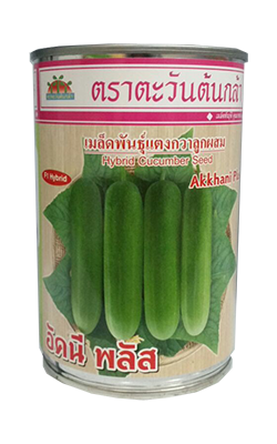 อัคนีพลัสแตงกวาAV20G*60