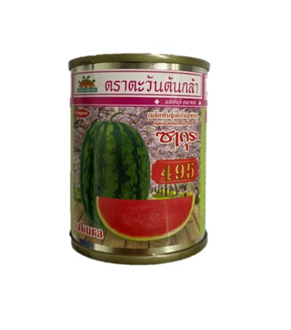 ซากุระ495แตงโมAV40G