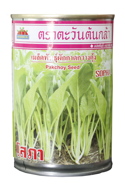 โสภากวางตุ้งAV80G