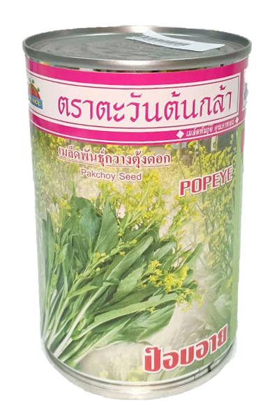 ป๊อบอายกวางตุ้งดอกAV80G