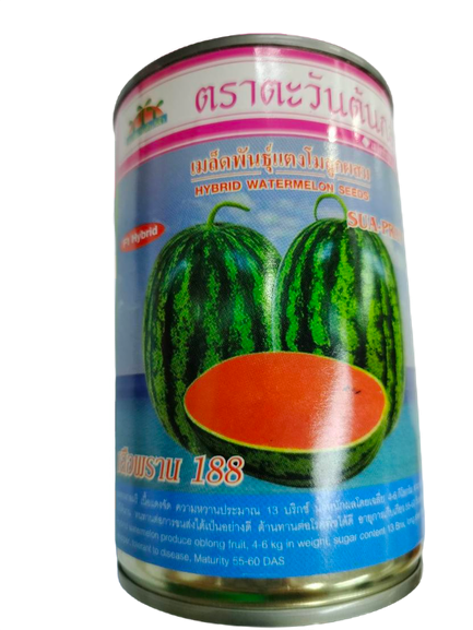 เสือพราน188แตงโมลูกผสมAV50G*60