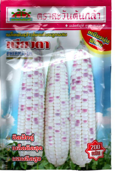 ขพ.เทียนเพียงตาF1AV200G