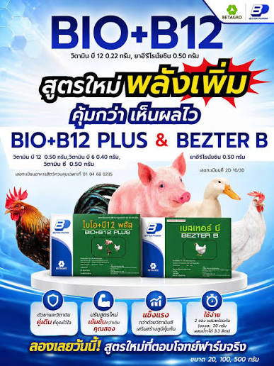 ไบโอบี12+เบสเทอร์บี